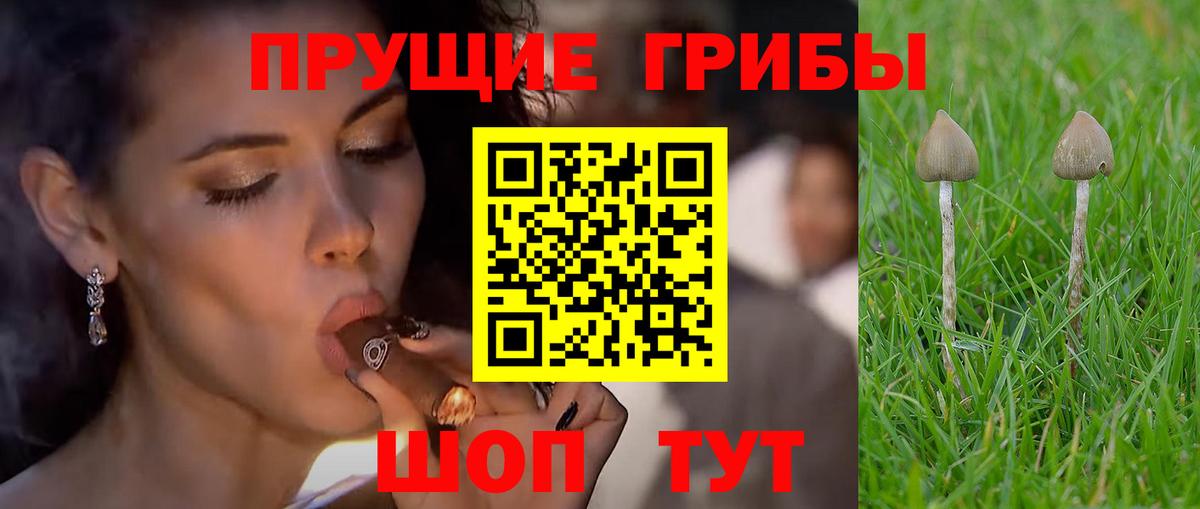 Воткинск  Псилоцибиновые грибы Magic Shrooms  Вход с VPN 
